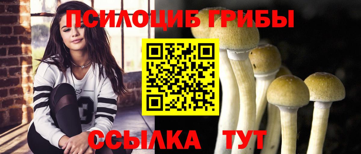 Псилоцибиновые грибы Magic Shrooms Снежинск
