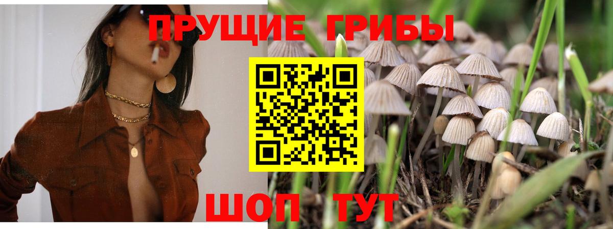 Снежинск  Псилоцибиновые грибы Psilocybine cubensis  купить   Вход с VPN 